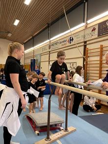 VDT - Turnabzeichen - Infos